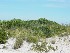 Dunes (Dad get's bored)